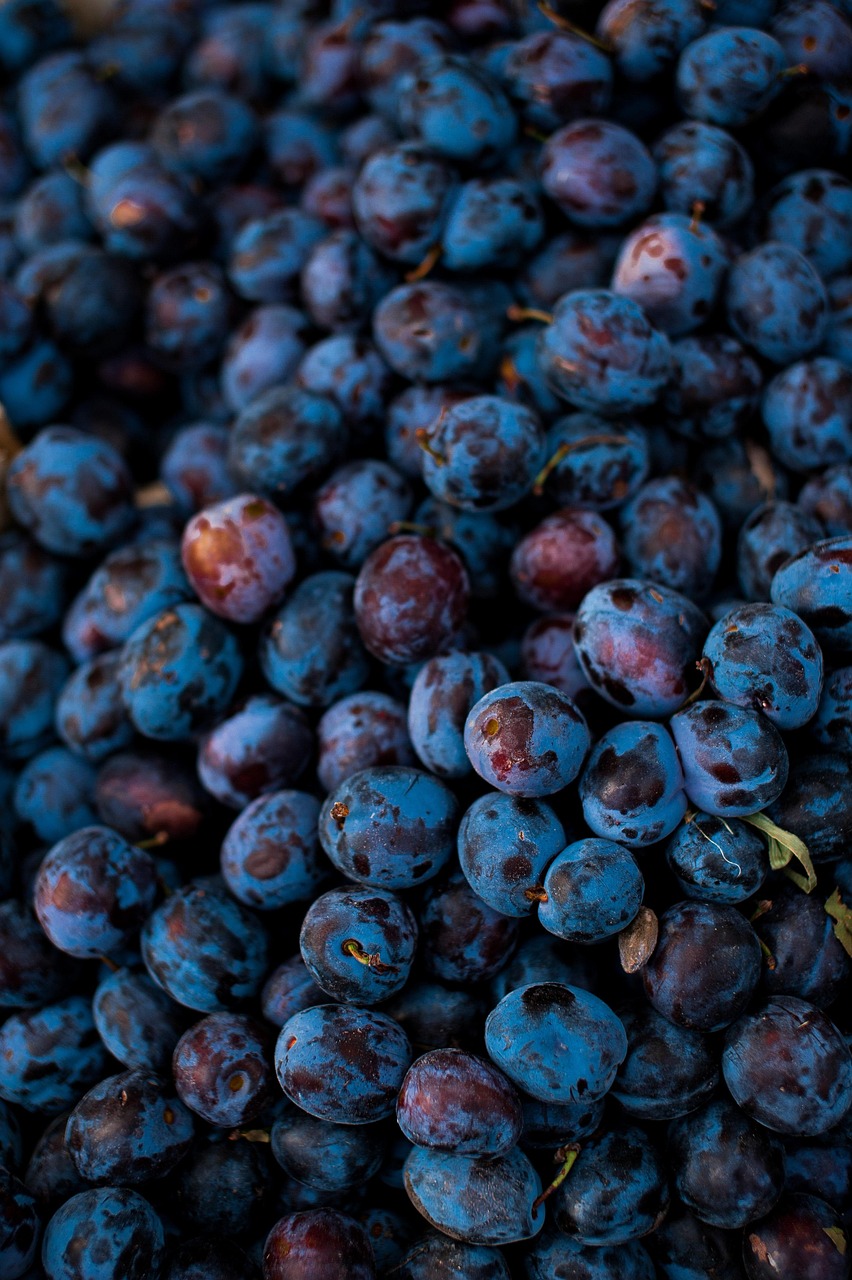 fruit, grapes, organic, food, healthy, vitamins, sweet