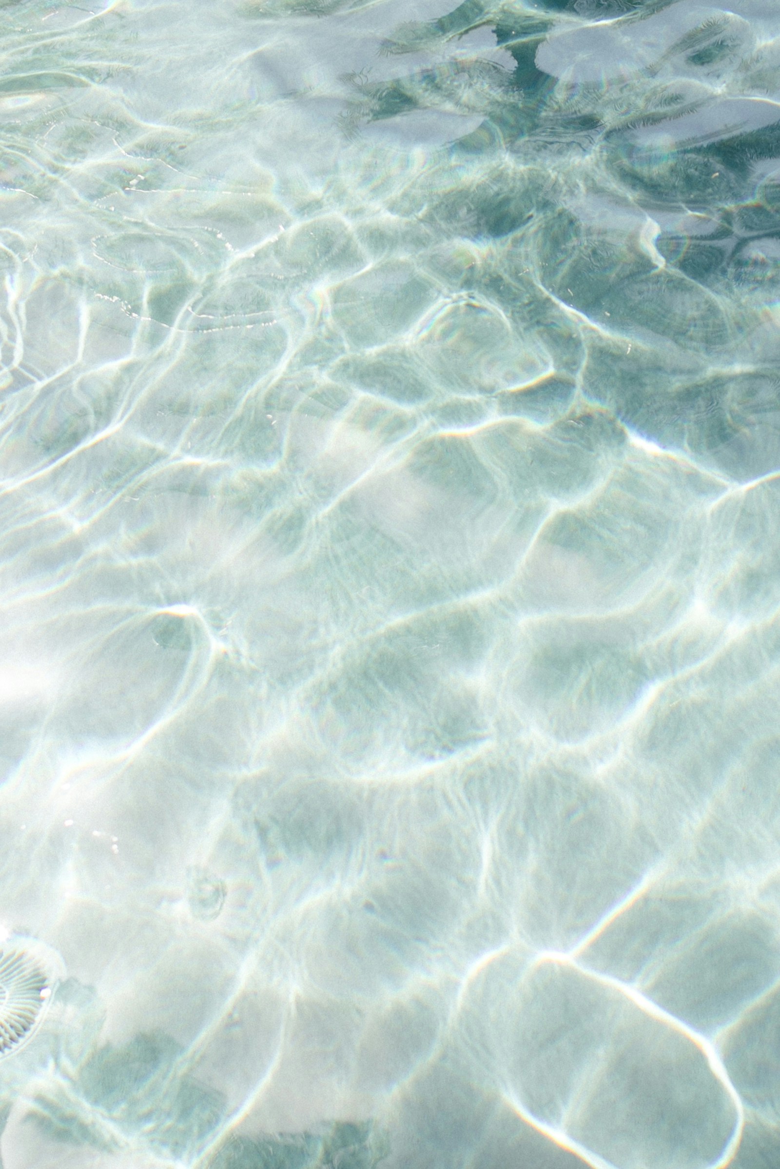 marissa-rodriguez-2mKYEVGA4jE-unsplash marissa-rodriguez-2mKYEVGA4jE-unsplash